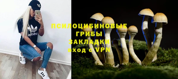 дживик Алексеевка