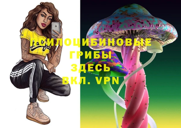 бошки Алзамай